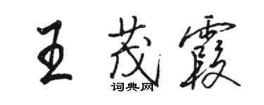 駱恆光王茂霞行書個性簽名怎么寫