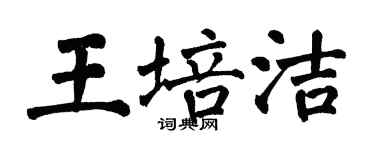 翁闓運王培潔楷書個性簽名怎么寫