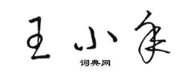 駱恆光王小年草書個性簽名怎么寫