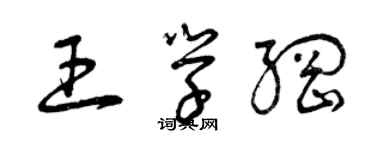 曾慶福王學綱草書個性簽名怎么寫