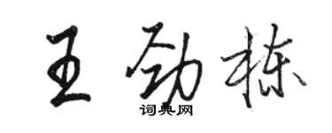 駱恆光王勁棟行書個性簽名怎么寫