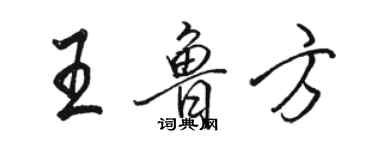 駱恆光王魯方行書個性簽名怎么寫