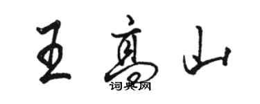 駱恆光王高山行書個性簽名怎么寫