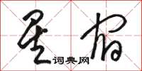 駱恆光星宿草書怎么寫