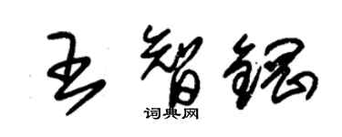 朱錫榮王智鋼草書個性簽名怎么寫