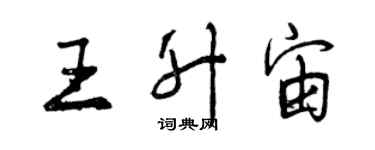 曾慶福王升宙行書個性簽名怎么寫