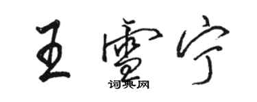 駱恆光王雪寧行書個性簽名怎么寫