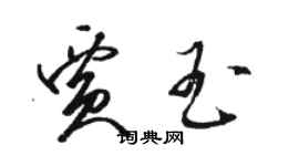 駱恆光賈玉草書個性簽名怎么寫