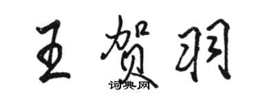 駱恆光王賀羽行書個性簽名怎么寫