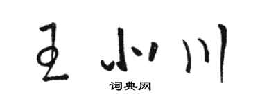 駱恆光王北川草書個性簽名怎么寫