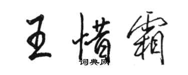 駱恆光王惜霜行書個性簽名怎么寫