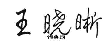 駱恆光王曉晰行書個性簽名怎么寫