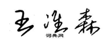 朱錫榮王準森草書個性簽名怎么寫