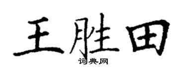 丁謙王勝田楷書個性簽名怎么寫