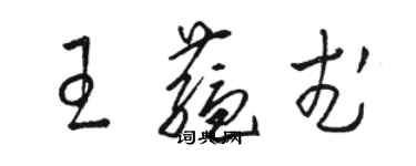 駱恆光王蘊武草書個性簽名怎么寫