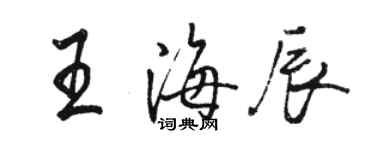 駱恆光王海辰行書個性簽名怎么寫