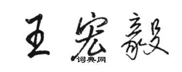 駱恆光王宏毅行書個性簽名怎么寫