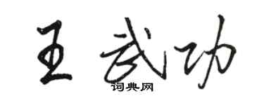 駱恆光王武功行書個性簽名怎么寫