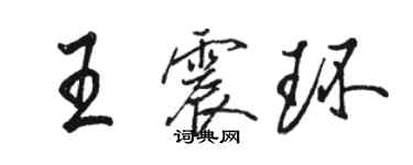 駱恆光王震環行書個性簽名怎么寫