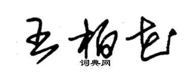 朱錫榮王柏花草書個性簽名怎么寫