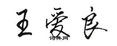 駱恆光王愛良行書個性簽名怎么寫