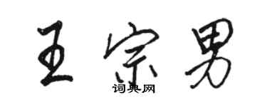 駱恆光王宗男行書個性簽名怎么寫