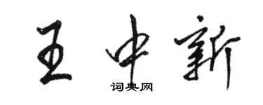 駱恆光王中新行書個性簽名怎么寫