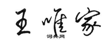駱恆光王唯家行書個性簽名怎么寫