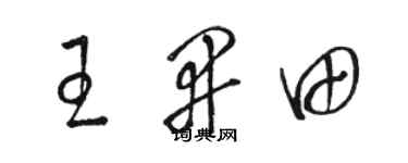 駱恆光王開田草書個性簽名怎么寫