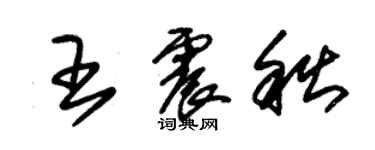 朱錫榮王震秋草書個性簽名怎么寫