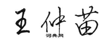 駱恆光王仲苗行書個性簽名怎么寫