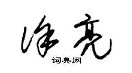 朱錫榮徐亮草書個性簽名怎么寫