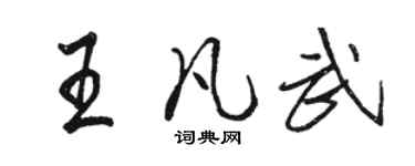 駱恆光王凡武行書個性簽名怎么寫