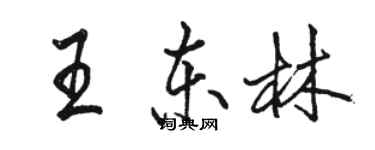駱恆光王東林行書個性簽名怎么寫