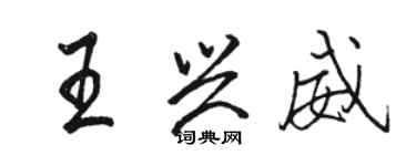 駱恆光王興威行書個性簽名怎么寫