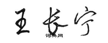 駱恆光王長寧行書個性簽名怎么寫