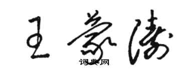 駱恆光王蒙濤草書個性簽名怎么寫