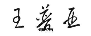 駱恆光王普亞草書個性簽名怎么寫