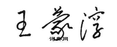 駱恆光王蒙淳草書個性簽名怎么寫