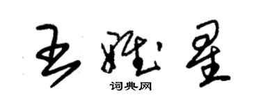 朱錫榮王雅星草書個性簽名怎么寫