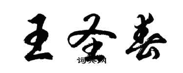 胡問遂王聖春行書個性簽名怎么寫