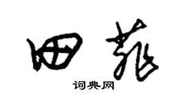 朱錫榮田菲草書個性簽名怎么寫