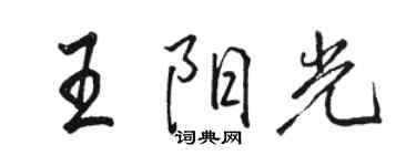 駱恆光王陽光行書個性簽名怎么寫