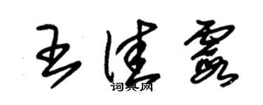 朱錫榮王佳霞草書個性簽名怎么寫