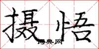 龐中華攝悟楷書怎么寫