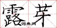 龐中華露芽楷書怎么寫