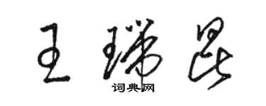 駱恆光王瑞昆草書個性簽名怎么寫