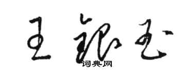 駱恆光王銀玉草書個性簽名怎么寫