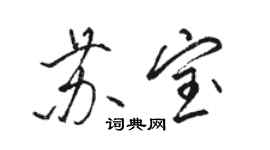 駱恆光蘇寶行書個性簽名怎么寫