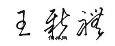 駱恆光王新禮草書個性簽名怎么寫